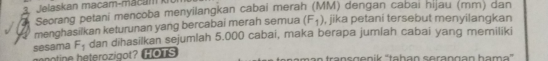 Jelaskan macam-macam k 
Seorang petani mencoba menyilangkan cabai merah (MM) dengan cabai hijau (mm) dan 
menghasilkan keturunan yang bercabai merah semua (F_1) , jika petani tersebut menyilangkan 
sesama F_1 dan dihasilkan sejumlah 5.000 cabaí, maka berapa jumlah cabai yang memiliki 
genotine heterozigot? HOTS an transgenik 'tahan serangan hama”