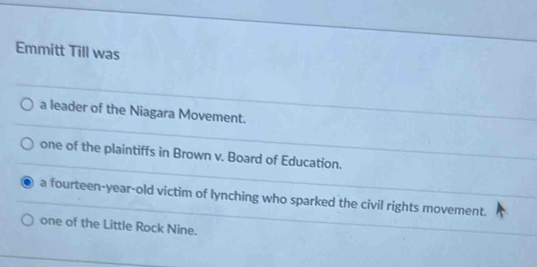 Emmitt Till was
a leader of the Niagara Movement.
one of the plaintiffs in Brown v. Board of Education.
a fourteen-year-old victim of lynching who sparked the civil rights movement.
one of the Little Rock Nine.