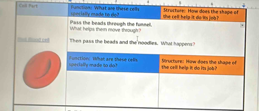 4 5 6
Cell P