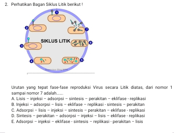 Perhatikan Bagan Siklus Litik berikut!
Urutan yang tepat fase-fase reproduksi Virus secara Litik diatas, dari nomor 1
sampai nomor 7 adalah.......
A. Lisis - injeksi - adsorpsi - sintesis - perakitan - eklifase - replikasi
B. Injeksi - adsorpsi - lisis - eklifase - replikasi - sintesis - perakitan
C. Adsorpsi - lisis - injeksi - sintesis - perakitan - eklifase - replikasi
D. Sintesis - perakitan - adsorpsi - injeksi - lisis - eklifase - replikasi
E. Adsorpsi - injeksi - eklifase - sintesis - replikasi - perakitan - lisis