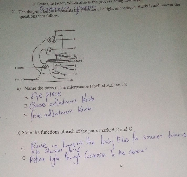 State one factor, which affects the process being inve
21. The diagram below represents the structure of a light microscope. Study it and answer the
questions that follow.
a) Name the parts of the microscope labelled A, D and E
A
B
C
b) State the functions of each of the parts marked C and G.
C
G
5