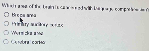 Which area of the brain is concerned with language comprehension?
Broca area
Primary auditory cortex
Wernicke area
Cerebral cortex