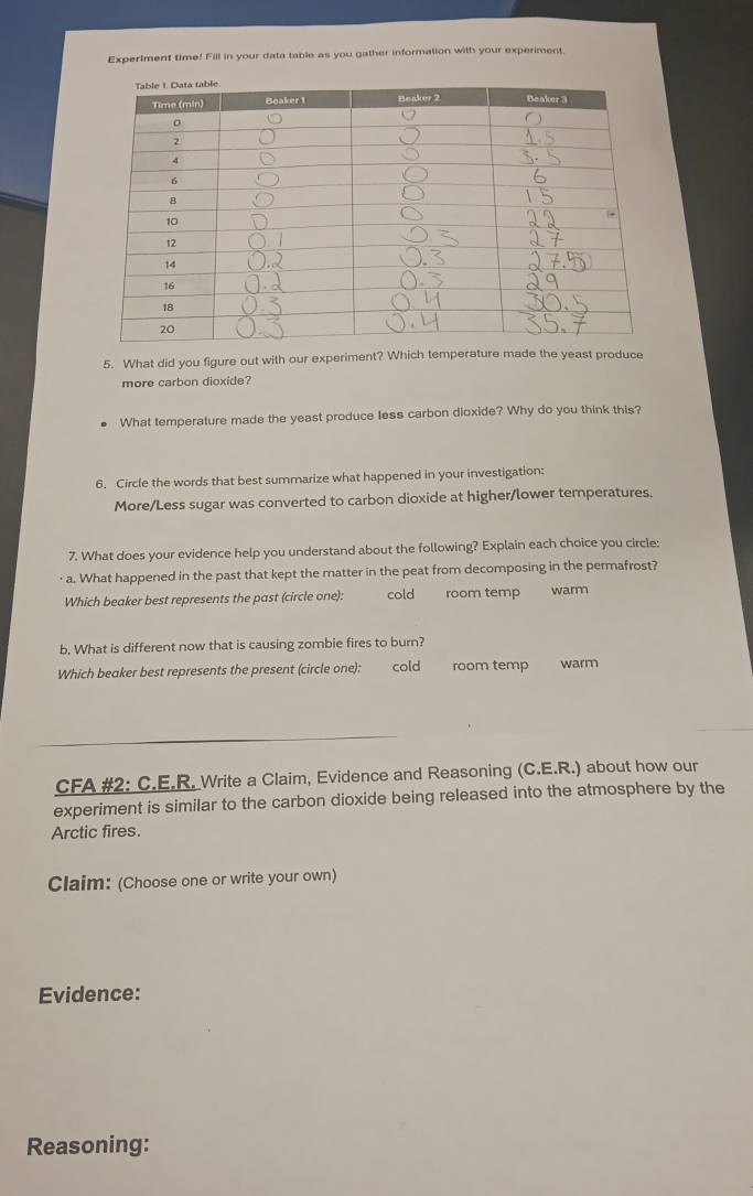 Experlment time! Fill in your data table as you gather information with your experiment. 
5. What did you figure out with our experiment? Which temperature made the yeast produce 
more carbon dioxide? 
What temperature made the yeast produce less carbon dioxide? Why do you think this? 
6. Circle the words that best summarize what happened in your investigation: 
More/Less sugar was converted to carbon dioxide at higher/lower temperatures. 
7. What does your evidence help you understand about the following? Explain each choice you circle: 
· a. What happened in the past that kept the matter in the peat from decomposing in the permafrost? 
Which beaker best represents the past (circle one): cold room temp warm 
b. What is different now that is causing zombie fires to burn? 
Which beaker best represents the present (circle one): cold room temp warm 
CFA #2: C.E.R. Write a Claim, Evidence and Reasoning (C.E.R.) about how our 
experiment is similar to the carbon dioxide being released into the atmosphere by the 
Arctic fires. 
Claim: (Choose one or write your own) 
Evidence: 
Reasoning: