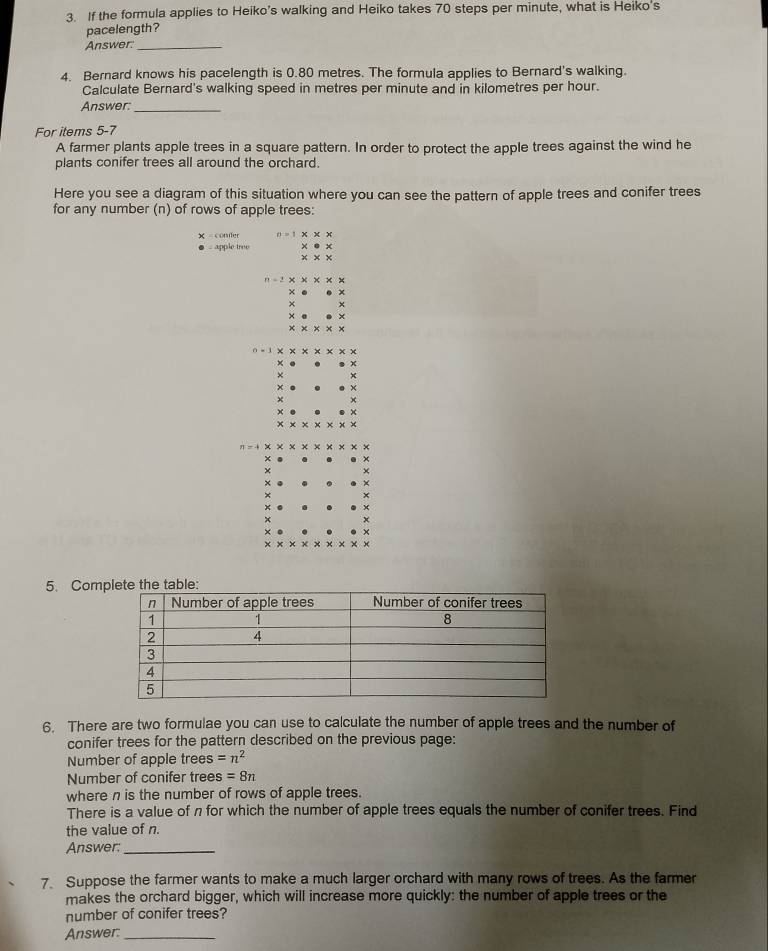 If the formula applies to Heiko's walking and Heiko takes 70 steps per minute, what is Heiko's 
pacelength? 
Answer:_ 
4. Bernard knows his pacelength is 0.80 metres. The formula applies to Bernard's walking. 
Calculate Bernard's walking speed in metres per minute and in kilometres per hour. 
Answer:_ 
For items 5-7 
A farmer plants apple trees in a square pattern. In order to protect the apple trees against the wind he 
plants conifer trees all around the orchard. 
Here you see a diagram of this situation where you can see the pattern of apple trees and conifer trees 
for any number (n) of rows of apple trees: 
× = conler n=1* * *
apple tree * · *
* * *
-2* * * * *
× x 
× x 
× × 
x × 
× × 
x 
* 
×
n=+* * * * * * *
× 
5. Com 
6. There are two formulae you can use to calculate the number of apple trees and the number of 
conifer trees for the pattern described on the previous page: 
Number of apple trees =n^2
Number of conifer trees =8n
where n is the number of rows of apple trees. 
There is a value of n for which the number of apple trees equals the number of conifer trees. Find 
the value of n. 
Answer:_ 
7 Suppose the farmer wants to make a much larger orchard with many rows of trees. As the farmer 
makes the orchard bigger, which will increase more quickly: the number of apple trees or the 
number of conifer trees? 
Answer:_