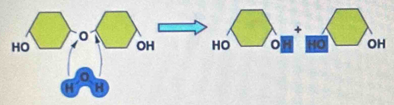 0 
+
HO
OH
HO
x HO OH
H H