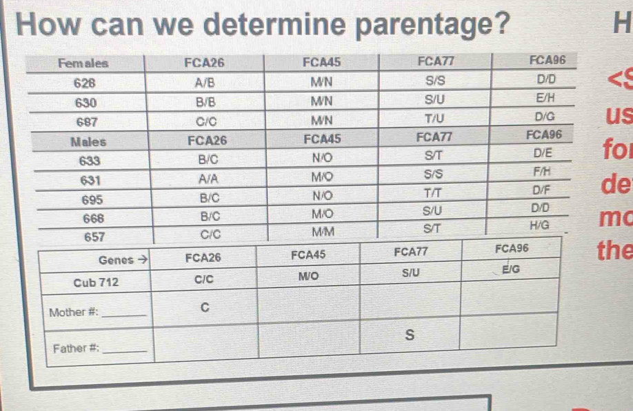 How can we determine parentage? H 
s 
o 
e 
c 
he