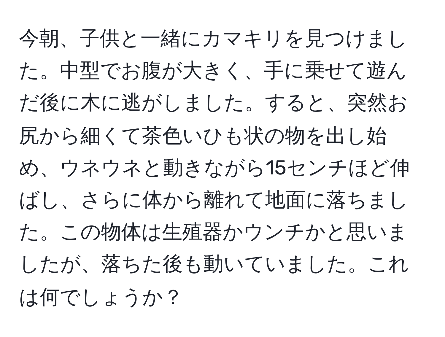 今朝、子供と一緒にカマキリを見つけました。中型でお腹が大きく、手に乗せて遊んだ後に木に逃がしました。すると、突然お尻から細くて茶色いひも状の物を出し始め、ウネウネと動きながら15センチほど伸ばし、さらに体から離れて地面に落ちました。この物体は生殖器かウンチかと思いましたが、落ちた後も動いていました。これは何でしょうか？