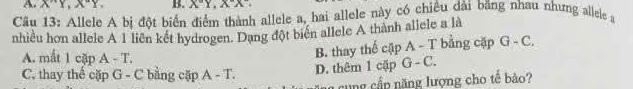 A X''Y, X''Y, B. X°Y, X'X'
Câu 13: Allele A bị đột biển điểm thành allele a, hai allele này có chiều dài băng nhau nhưng allele a
nhiều hơn allele A 1 liên kết hydrogen. Dang đột biển allele A thành aliele a là
B. thay thể cập A - T bằng cặp G-C.
A. mất 1 cặp A - T. G-C.
C. thay thể cặp G - C bằng cặp A- D. thêm 1 cập
cung cấp năng lượng cho tế bảo?