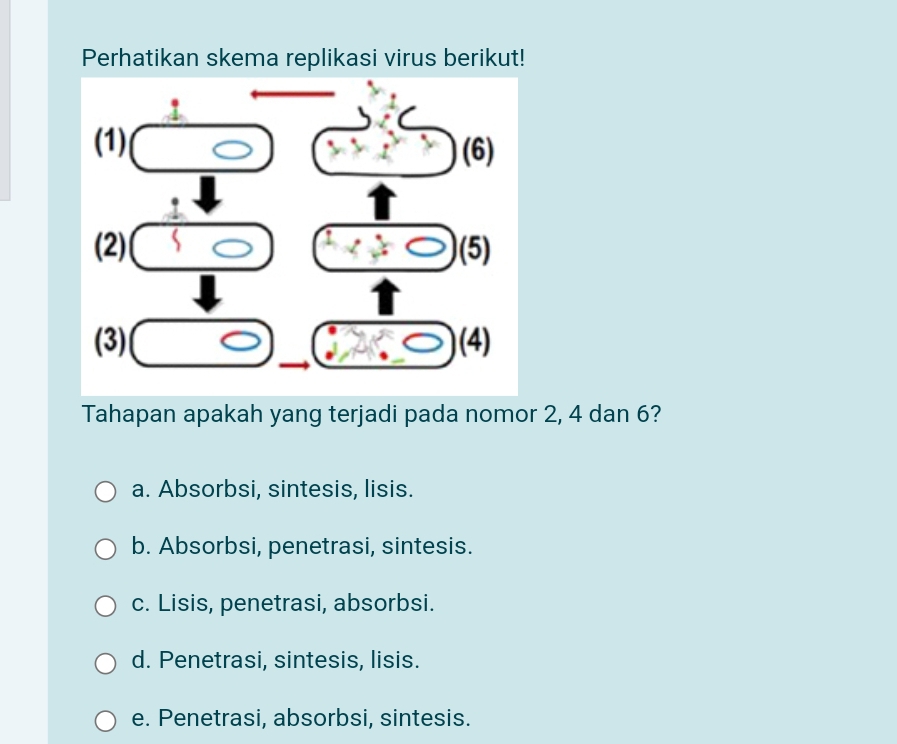 Perhatikan skema replikasi virus berikut!
Tahapan apakah yang terjadi pada nomor 2, 4 dan 6?
a. Absorbsi, sintesis, lisis.
b. Absorbsi, penetrasi, sintesis.
c. Lisis, penetrasi, absorbsi.
d. Penetrasi, sintesis, lisis.
e. Penetrasi, absorbsi, sintesis.