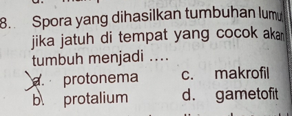 Spora yang dihasilkan tumbuhan lum
jika jatuh di tempat yang cocok akan 
tumbuh menjadi ..... protonema c. makrofil
b protalium d. gametofit