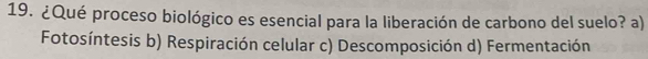 ¿Qué proceso biológico es esencial para la liberación de carbono del suelo? a)
Fotosíntesis b) Respiración celular c) Descomposición d) Fermentación