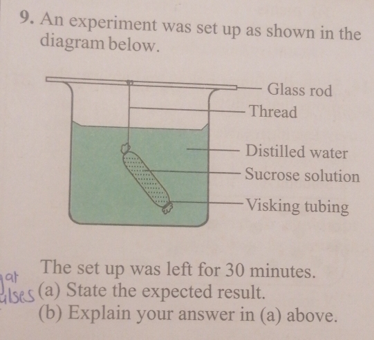 Solved: An experiment was set up as shown in the diagram below. The set ...