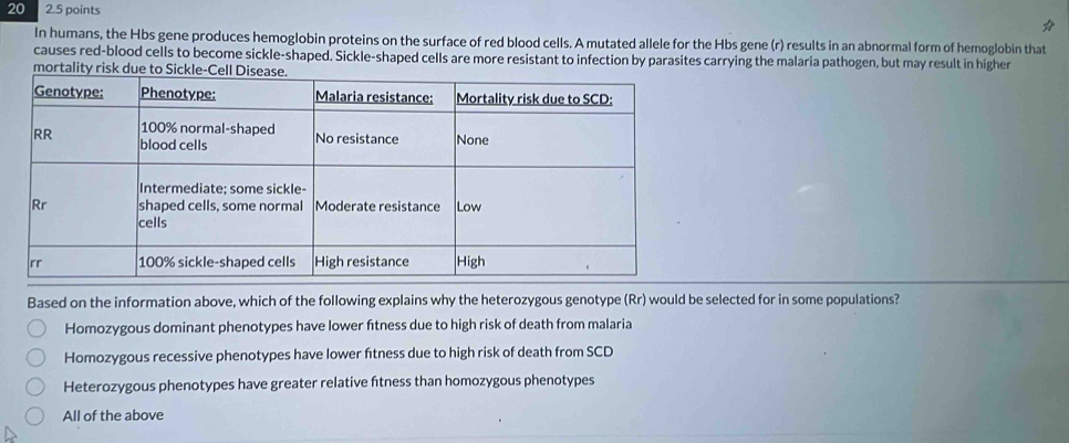 20 2.5 points
In humans, the Hbs gene produces hemoglobin proteins on the surface of red blood cells. A mutated allele for the Hbs gene (r) results in an abnormal form of hemoglobin that
causes red-blood cells to become sickle-shaped. Sickle-shaped cells are more resistant to infection by parasites carrying the malaria pathogen, but may result in higher
mortality r
Based on the information above, which of the following explains why the heterozygous genotype (Rr) would be selected for in some populations?
Homozygous dominant phenotypes have lower ftness due to high risk of death from malaria
Homozygous recessive phenotypes have lower fitness due to high risk of death from SCD
Heterozygous phenotypes have greater relative ftness than homozygous phenotypes
All of the above
