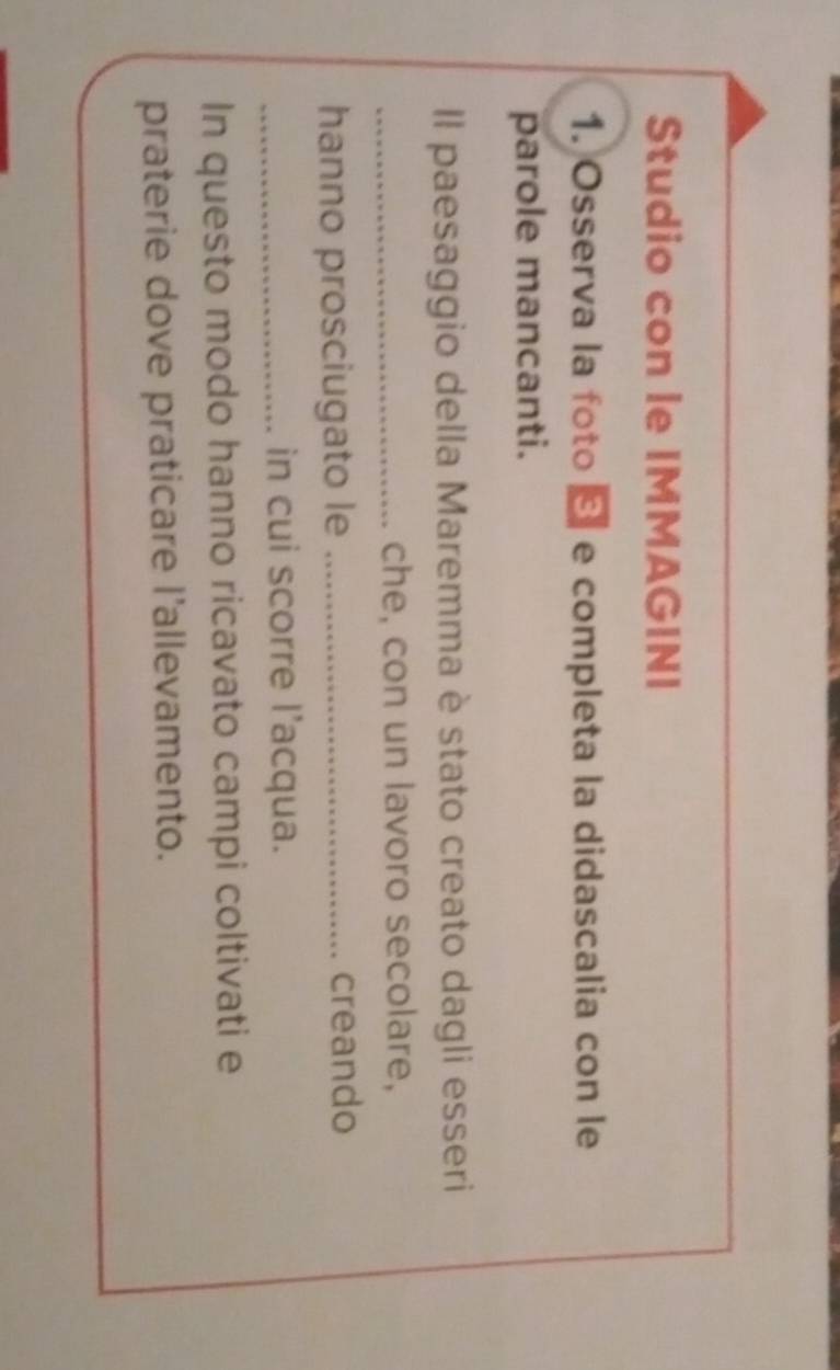 Studio con le IMMAGINI 
1. Osserva la foto ª e completa la didascalia con le 
parole mancanti. 
Il paesaggio della Maremma è stato creato dagli esseri 
_che, con un lavoro secolare, 
hanno prosciugato le _creando 
_in cui scorre l'acqua. 
In questo modo hanno ricavato campi coltivati e 
praterie dove praticare l'allevamento.