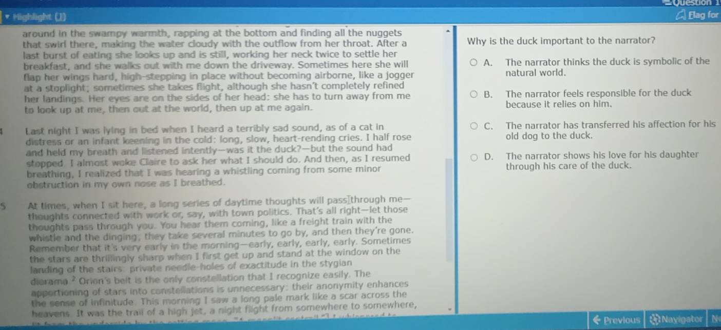 Mighlight (J) A Elag for
around in the swampy warmth, rapping at the bottom and finding all the nuggets
that swirl there, making the water cloudy with the outflow from her throat. After a Why is the duck important to the narrator?
last burst of eating she looks up and is still, working her neck twice to settle her
breakfast, and she walks out with me down the driveway. Sometimes here she will A. The narrator thinks the duck is symbolic of the
flap her wings hard, high-stepping in place without becoming airborne, like a jogger natural world.
at a stoplight; sometimes she takes flight, although she hasn't completely refined
her landings. Her eyes are on the sides of her head: she has to turn away from me B. The narrator feels responsible for the duck
to look up at me, then out at the world, then up at me again. because it relies on him.
Last night I was lying in bed when I heard a terribly sad sound, as of a cat in C. The narrator has transferred his affection for his
distress or an infant keening in the cold: long, slow, heart-rending cries. I half rose old dog to the duck.
and held my breath and listened intently—was it the duck?—but the sound had
stopped. I almost woke Claire to ask her what I should do. And then, as I resumed D. The narrator shows his love for his daughter
breathing, I realized that I was hearing a whistling coming from some minor through his care of the duck.
obstruction in my own nose as I breathed.
5 At times, when I sit here, a long series of daytime thoughts will pass[through me--
thoughts connected with work or, say, with town politics. That's all right—let those
thoughts pass through you. You hear them coming, like a freight train with the
whistle and the dinging, they take several minutes to go by, and then they're gone.
Remember that it's very early in the morning—early, early, early, early. Sometimes
the stars are thrillingly sharp when I first get up and stand at the window on the
landing of the stairs: private needle-holes of exactitude in the stygian
dierame ? Orion's belt is the only constellation that I recognize easily. The
apportioning of stars into constellations is unnecessary: their anonymity enhances
the sense of infinitude. This morning I saw a long pale mark like a scar across the
heavens. It was the trail of a high jet, a night flight from somewhere to somewhere,
Previous   Nayigator N