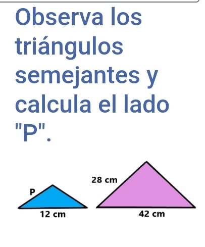 Observa los 
triángulos 
semejantes y 
calcula el lado 
"P".