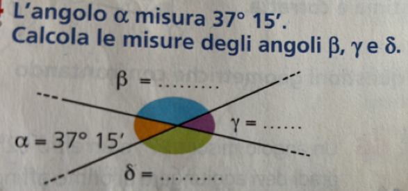 L’angolo α misura 37°15'.
Calcola le misure degli angoli β, γe δ.