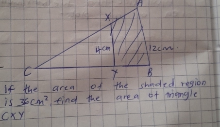 is 36cm^2 find the area of triangle
CXY