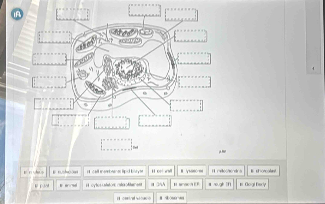 0
H nucleus I nucieolous # cell membrane: lipid bilayer H cell wall Ⅱlysosome * mitochondria H chioroplast
# plant # animal # cytoskeleton: microfilament Ⅱ DNA H amooth EA H rough ER # Golgi Body
H central vacuole II ribosomes