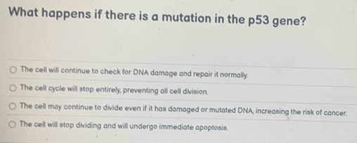 What happens if there is a mutation in the p53 gene?
The cell will continue to check for DNA damage and repair it normally.
The cell cycle will stop entirely, preventing all cell division.
The cell may continue to divide even if it has damaged or mutated DNA, increasing the risk of cancer.
The cell will stop dividing and will undergo immediate apoptosis.