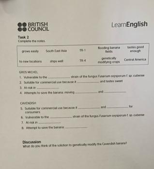 BRITISH LearnEnglish 
COUNCIL 
Task 2 Complete the noties. 
grows easity South East Asia R-1 flooding banana tastes good enough 
fielld s 
to new locations ships well TR-4 modifying crops genetically Centrall America 
GROS MICHEIL 
nerable to tte _strain of the fungus Fusarium orysporum f. sp. cubense 
2. Suitable for commercial use because it _and tastes sweet 
3. At risk in_ 
4. Attempts to save the banana: moving _and_ 
CAVENDISH 
5. Suitable for commercial use because it_ and_ for 
consumers 
6 Vulnerable to the _strain of the fungus Fusarium oinsporum f. sp. cuberse 
7. At risk in_ 
B. Attempt to save the banana_ 
Discussion 
What do you think of the solution to genetically modily the Cavendish banana?