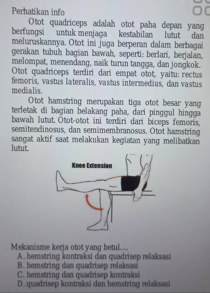 Perhatikan info
Otot quadriceps adalah otot paha depan yang
berfungsi untuk menjaga kestabilan lutut dan
meluruskannya. Otot ini juga berperan dalam berbagai
gerakan tubuh bagian bawah, seperti: berlari, berjalan,
melompat, menendang, naik turun tangga, dan jongkok.
Otot quadriceps terdiri dari empat otot, yaitu: rectus
femoris, vastus lateralis, vastus intermedius, dan vastus
medialis.
Otot hamstring merupakan tiga otot besar yang
terletak di bagian belakang paha, dari pinggul hingga
bawah lutut. Otot-otot ini terdiri dari biceps femoris,
semitendinosus, dan semimembranosus. Otot hamstring
sangat aktif saat melakukan kegiatan yang melibatkan
lutut.
Mekanisme kerja otot yang betul....
A . hemstring kontraksi dan quadrisep relaksasi
B. hemstring dan quadrisep relaksasi
C. hemstring dan quadrisep kontraksi
D. quadrisep kontraksi dan hemstring relaksasi