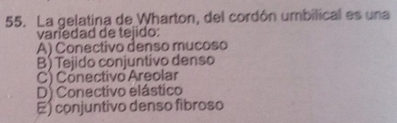 La gelatina de Wharton, del cordón umbilical es una
variedad de tejido:
A) Conectivo denso mucoso
B) Tejido conjuntivo denso
C) Conectivo Areolar
D) Conectivo elástico
E) conjuntivo denso fibroso