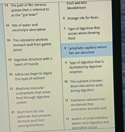 The part of the nervous tract and into 
1 
causing he 
absorption occurs