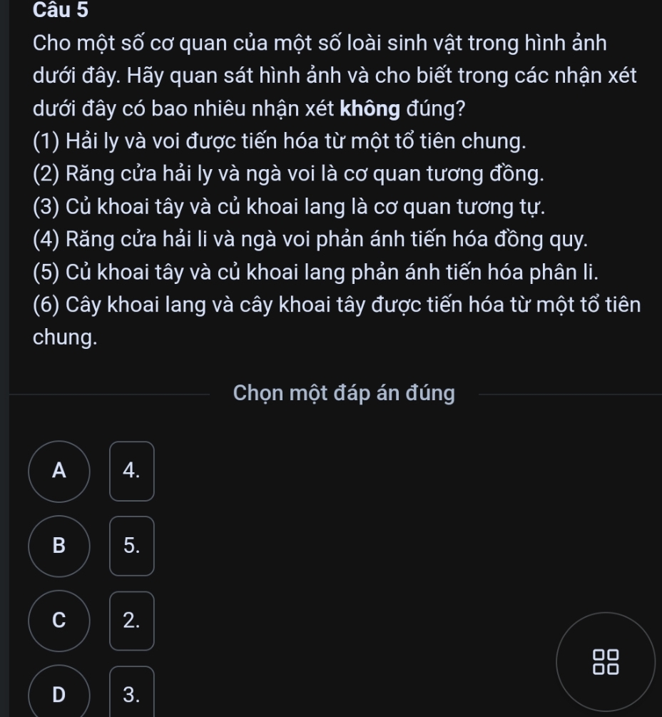 Cho một số cơ quan của một số loài sinh vật trong hình ảnh
dưới đây. Hãy quan sát hình ảnh và cho biết trong các nhận xét
dưới đây có bao nhiêu nhận xét không đúng?
(1) Hải ly và voi được tiến hóa từ một tổ tiên chung.
(2) Răng cửa hải ly và ngà voi là cơ quan tương đồng.
(3) Củ khoai tây và củ khoai lang là cơ quan tương tự.
(4) Răng cửa hải li và ngà voi phản ánh tiến hóa đồng quy.
(5) Củ khoai tây và củ khoai lang phản ánh tiến hóa phân li.
(6) Cây khoai lang và cây khoai tây được tiến hóa từ một tổ tiên
chung.
Chọn một đáp án đúng
A 4.
B 5.
C 2.
D 3.