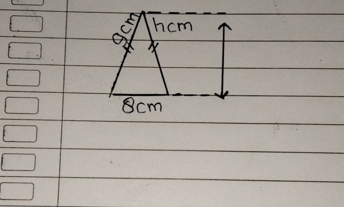 hcm
8cm