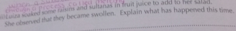 Luiza soaked some raisins and sultanas in fruit juice to add to her salad. 
She observed that they became swollen. Explain what has happened this time.