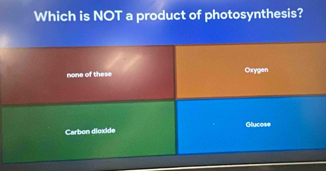 Which is NOT a product of photosynthesis?