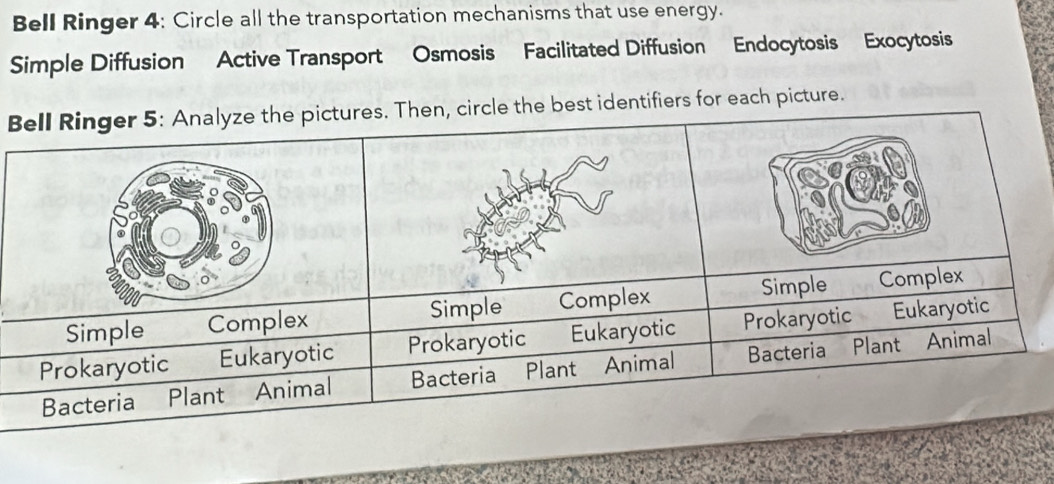 Bell Ringer 4: Circle all the transportation mechanisms that use energy. 
Simple Diffusion Active Transport Osmosis Facilitated Diffusion Endocytosis Exocytosis 
Btifiers for each picture.