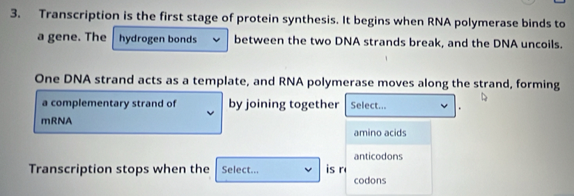 Transcription is the first stage of protein synthesis. It begins when RNA polymerase binds to 
a gene. The hydrogen bonds between the two DNA strands break, and the DNA uncoils. 
One DNA strand acts as a template, and RNA polymerase moves along the strand, forming 
a complementary strand of by joining together Select... 
mRNA 
amino acids 
anticodons 
Transcription stops when the Select... is r 
codons