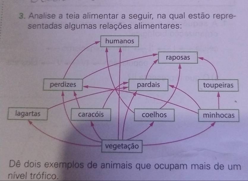 Analise a teia alimentar a seguir, na qual estão repre- 
sentadas algumas relações alimentares: 
Dê dois exemplos de animais que ocupam mais de um 
nível trófico.