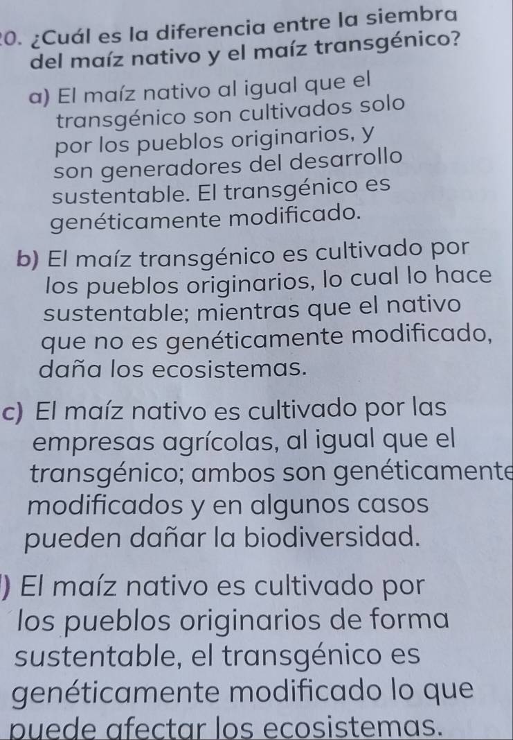 ¿Cuál es la diferencia entre la siembra
del maíz nativo y el maíz transgénico?
a) El maíz nativo al igual que el
transgénico son cultivados solo
por los pueblos originarios, y
son generadores del desarrollo
sustentable. El transgénico es
genéticamente modificado.
b) El maíz transgénico es cultivado por
los pueblos originarios, lo cual lo hace
sustentable; mientras que el nativo
que no es genéticamente modificado,
daña los ecosistemas.
c) El maíz nativo es cultivado por las
empresas agrícolas, al igual que el
transgénico; ambos son genéticamente
modificados y en algunos casos
pueden dañar la biodiversidad.
1) El maíz nativo es cultivado por
los pueblos originarios de forma
sustentable, el transgénico es
genéticamente modificado lo que
puede afectar los ecosistemas.