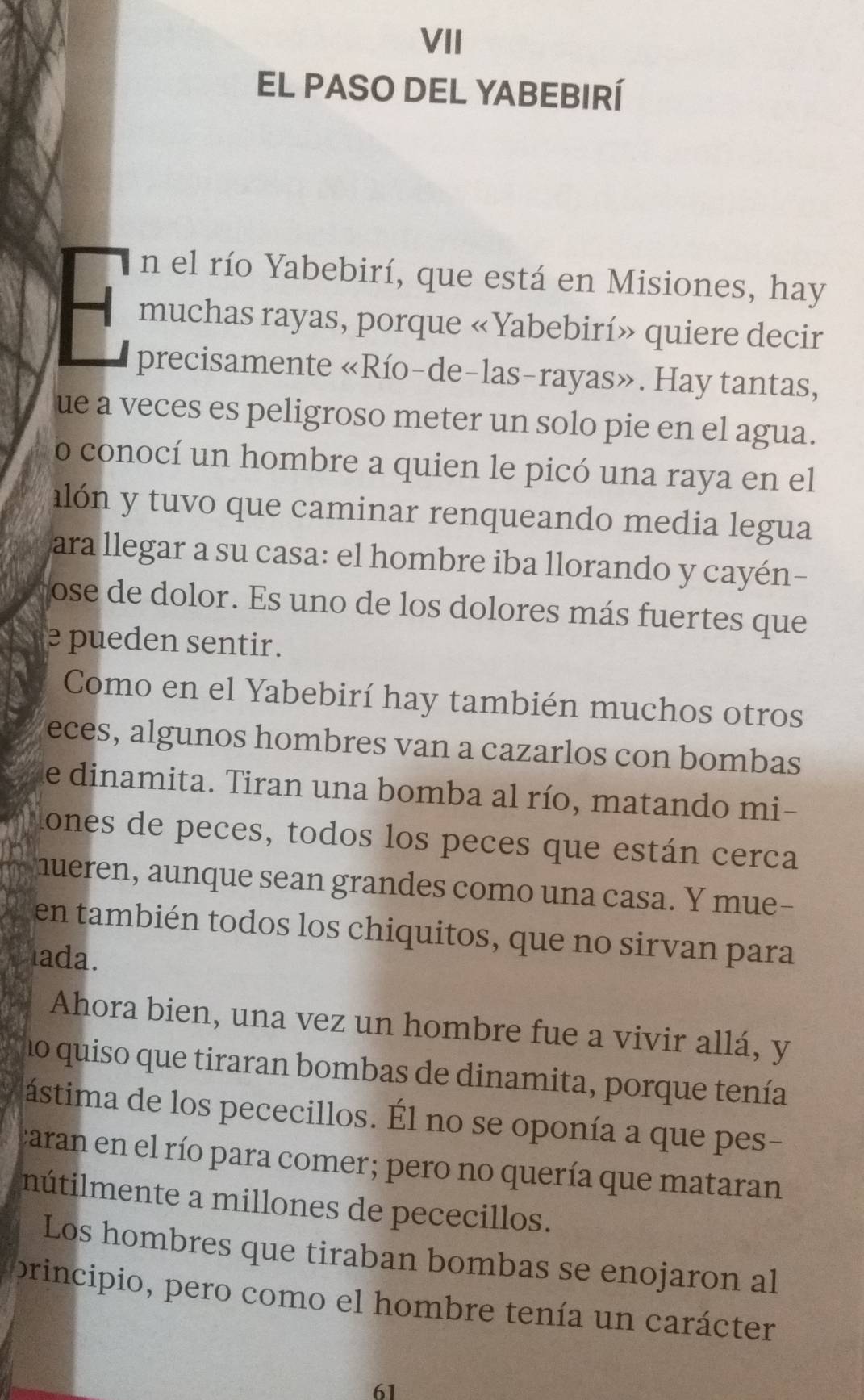 VII 
EL PASO DEL YABEBIRí 
n el río Yabebirí, que está en Misiones, hay 
muchas rayas, porque «Yabebirí» quiere decir 
precisamente «Río-de-las-rayas». Hay tantas, 
ue a veces es peligroso meter un solo pie en el agua. 
o conocí un hombre a quien le picó una raya en el 
alón y tuvo que caminar renqueando media legua 
ara llegar a su casa: el hombre iba llorando y cayén- 
ose de dolor. Es uno de los dolores más fuertes que 
e pueden sentir. 
Como en el Yabebirí hay también muchos otros 
eces, algunos hombres van a cazarlos con bombas 
e dinamita. Tiran una bomba al río, matando mi- 
lones de peces, todos los peces que están cerca 
hueren, aunque sean grandes como una casa. Y mue- 
en también todos los chiquitos, que no sirvan para 
ada. 
Ahora bien, una vez un hombre fue a vivir allá, y 
no quiso que tiraran bombas de dinamita, porque tenía 
ástima de los pececillos. Él no se oponía a que pes- 
caran en el río para comer; pero no quería que mataran 
nútilmente a millones de pececillos. 
Los hombres que tiraban bombas se enojaron al 
principio, pero como el hombre tenía un carácter
61