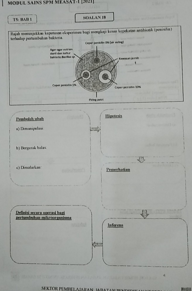 MODUL SAINS SPM MEASÁT-1 [2021]
T5: BAB 1 SOALAN 18
Rajah menunjukkan keputusan eksperimen bagi mengkaji kesan kepekatan antibiotik (penisilın)
terhadap pertumbu
Pembolch ubah Hipotesis
a) Dimanipulasi
b) Bergerak balas
c) Dimalarkan Pemerhatian
Definisi secara operasi bagi
pertumbuhan mikroorganisma
Inferens
SEKTÖR PEMBELAJARAN