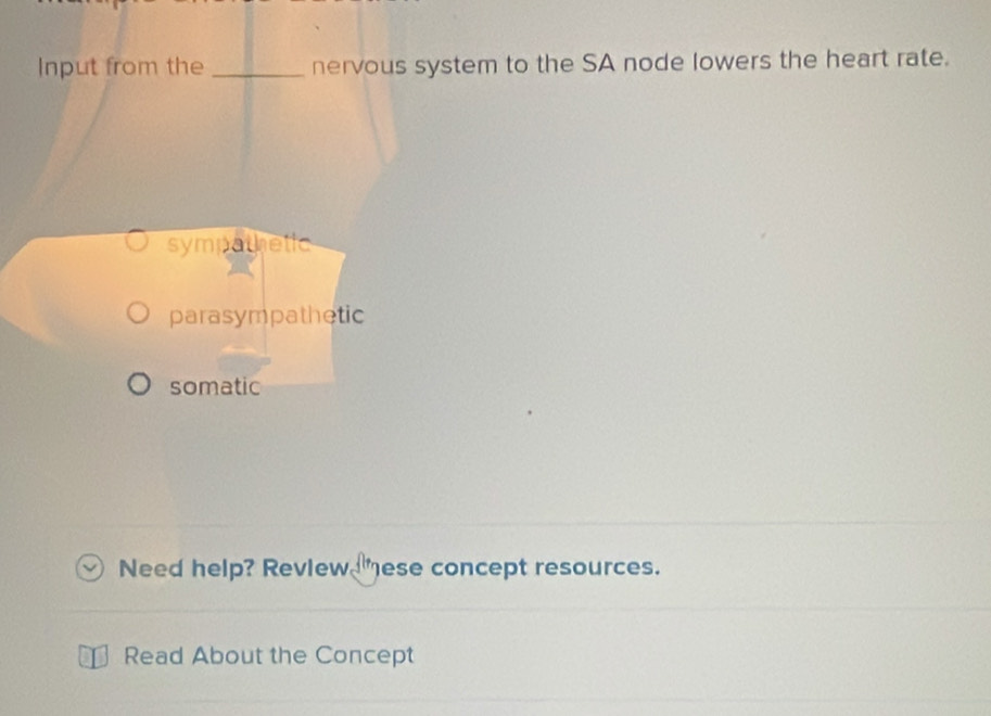 Input from the_ nervous system to the SA node lowers the heart rate.
sympathetic
parasympathetic
somatic
Need help? Review ese concept resources.
Read About the Concept