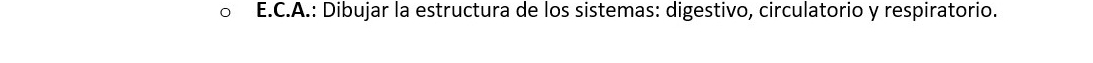 Dibujar la estructura de los sistemas: digestivo, circulatorio y respiratorio.