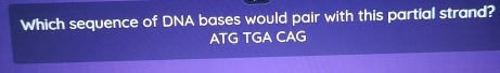 Which sequence of DNA bases would pair with this partial strand?
ATG TGA CAG