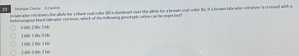 In labrador retrievers the allele for a black coat color (B) is dominant over the allele for a brown coat color (b). If a brown labrador retriever is crossed with a
heterozygous black labrador retriever, which of the following genotypic ratios can be expected?
0 BB: 2 Bb: 2 bb
2 BB: 1 Bb: 0 bb
1 BB: 2 Bb: 1 bb
2 BB: 0 Bb: 2 bb