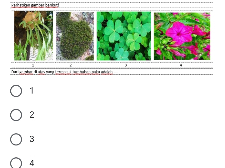 Perhatikan gambar berikut!
1
2
3
4
Dari gambar di atas yang termasuk tumbuhan paku adalah ....
1
2
3
4