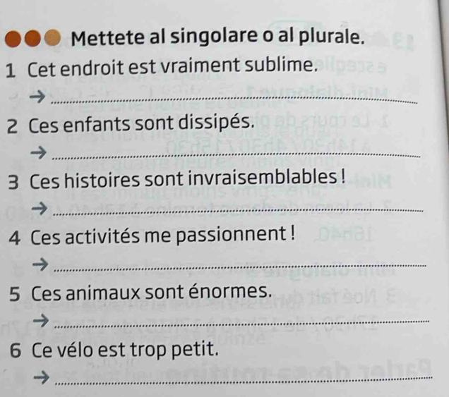 Mettete al singolare o al plurale. 
1 Cet endroit est vraiment sublime. 
_ 
2 Ces enfants sont dissipés. 
_ 
3 Ces histoires sont invraisemblables ! 
_ 
4 Ces activités me passionnent ! 
_ 
5 Ces animaux sont énormes. 
_ 
6 Ce vélo est trop petit. 
_