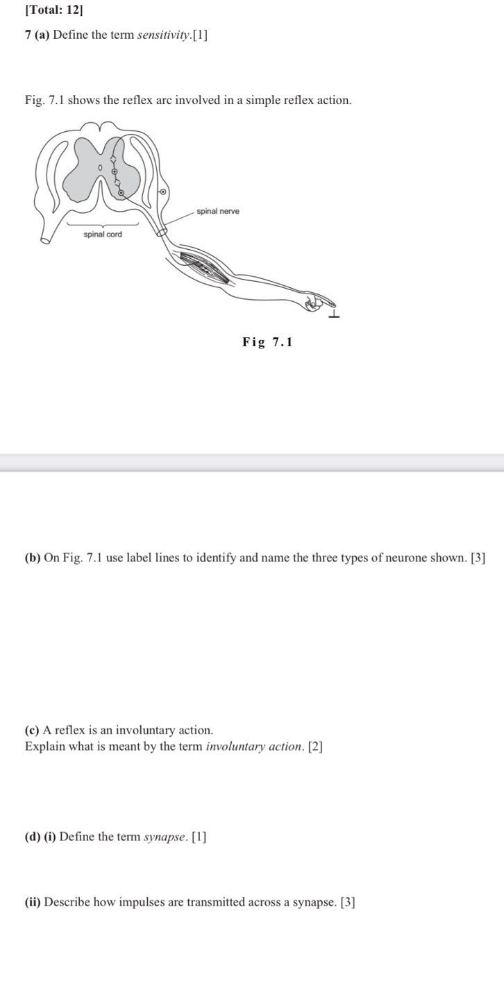 [Total: 12] 
7 (a) Define the term sensitivity.[1] 
Fig. 7.1 shows the reflex arc involved in a simple reflex action. 
(b) On Fig. 7.1 use label lines to identify and name the three types of neurone shown. [3] 
(c) A reflex is an involuntary action. 
Explain what is meant by the term involuntary action. [2] 
(d) (i) Define the term synapse. [1] 
(ii) Describe how impulses are transmitted across a synapse. [3]