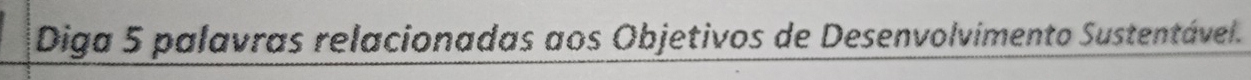 Diga 5 palavras relacionadas aos Objetivos de Desenvolvimento Sustentável.
