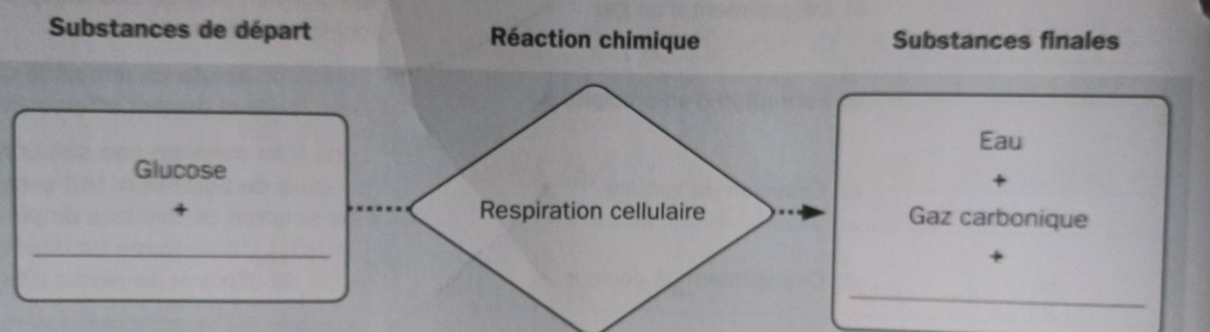 Substances de départ Réaction chimique Substances finales 
Eau 
Glucose 
Respiration cellulaire Gaz carbonique 
_ 
_