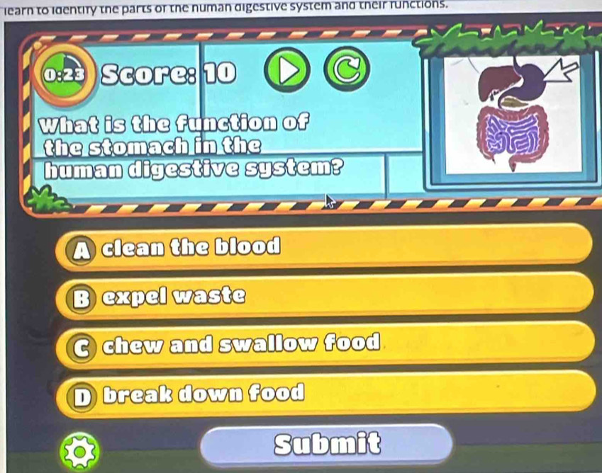 learn to identify the parts of the numan digestive system and their runctions.
0:2ª ) Score: 10
What is the function of
the stomach in the
human digestive system?
A clean the blood
B expel waste
C chew and swallow food
D break down food
Submit