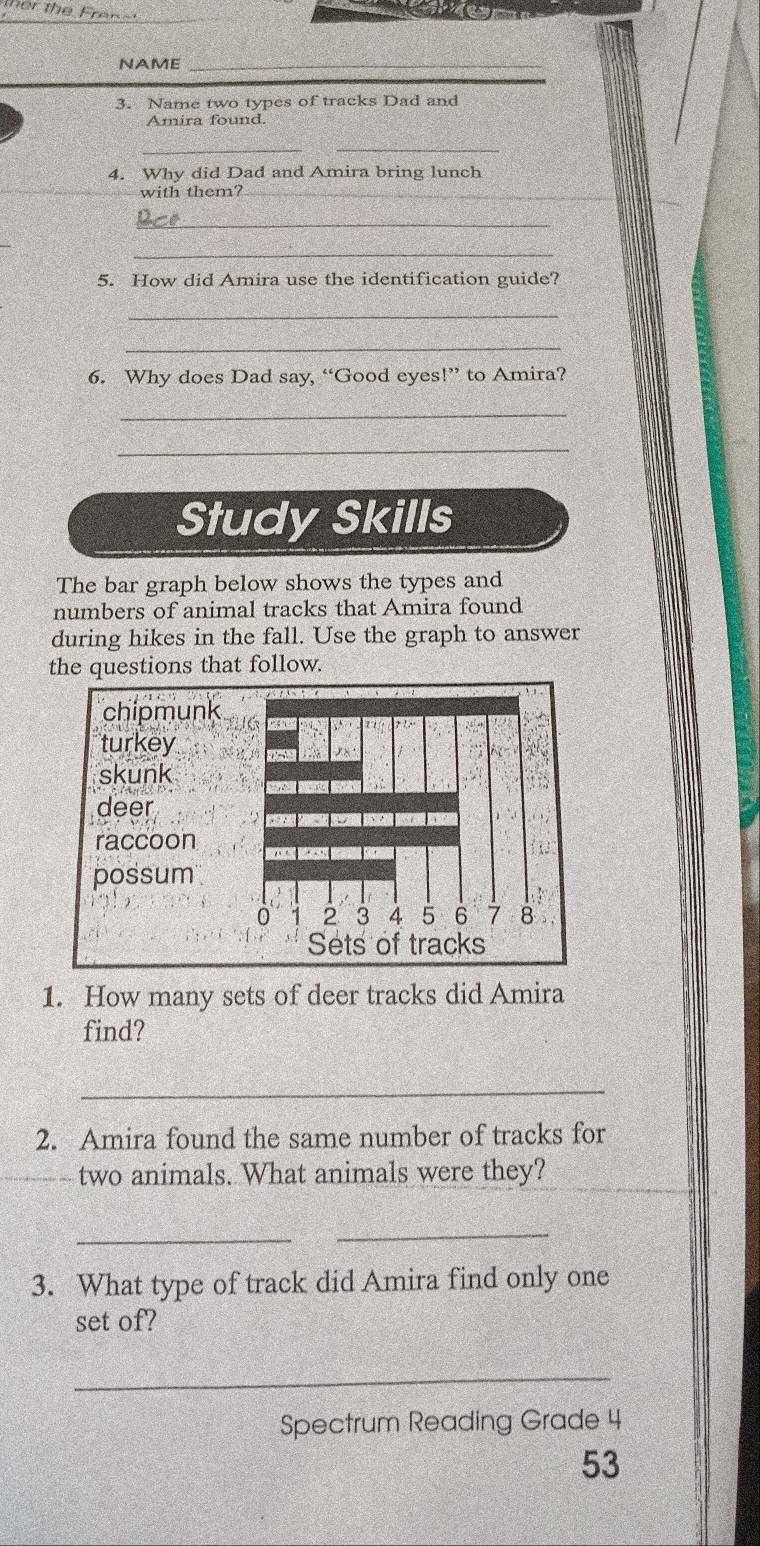 NAME_
3. Name two types of tracks Dad and
Amira found.
__
4. Why did Dad and Amira bring lunch
with them?
_
_
5. How did Amira use the identification guide?
_
_
6. Why does Dad say, “Good eyes!” to Amira?
_
_
Study Skills
The bar graph below shows the types and
numbers of animal tracks that Amira found
during hikes in the fall. Use the graph to answer
the questions that follow.
chipmunk
turkey A 
N
skunk
deer
raccoon
possum
0 2 3 4 5 6 7 8
Sets of tracks
1. How many sets of deer tracks did Amira
find?
_
2. Amira found the same number of tracks for
two animals. What animals were they?
_
_
3. What type of track did Amira find only one
set of?
_
Spectrum Reading Grade 4
53