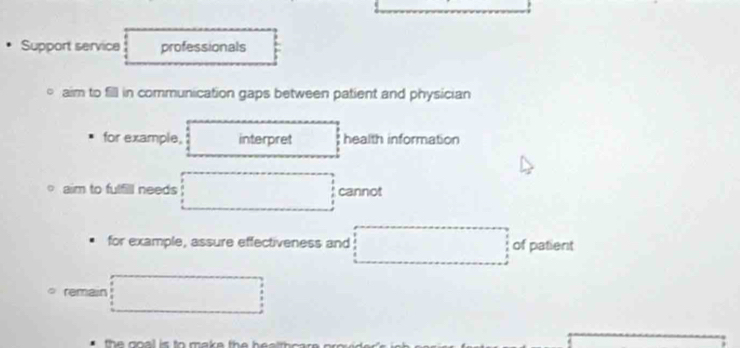 Support service professionals
aim to fill in communication gaps between patient and physician
for example, interpret health information
aim to fulfill needs cannot
for example, assure effectiveness and of patient
remain